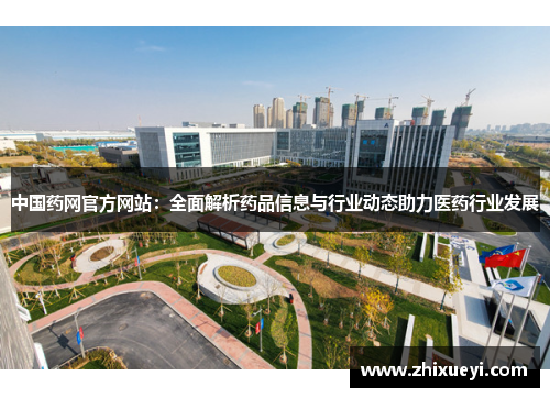 中国药网官方网站：全面解析药品信息与行业动态助力医药行业发展
