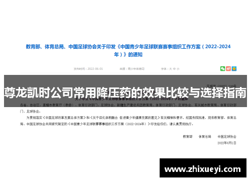 尊龙凯时公司常用降压药的效果比较与选择指南