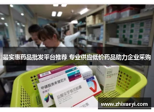 最实惠药品批发平台推荐 专业供应低价药品助力企业采购