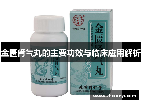 金匮肾气丸的主要功效与临床应用解析