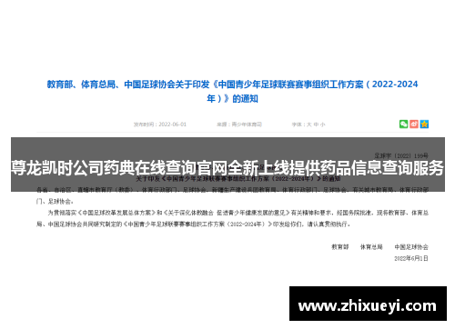 尊龙凯时公司药典在线查询官网全新上线提供药品信息查询服务