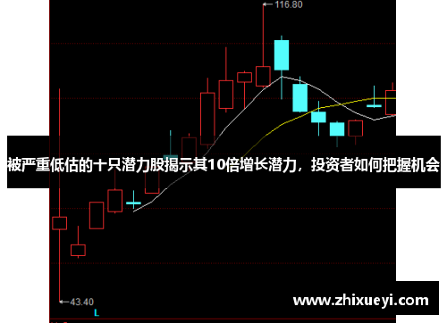被严重低估的十只潜力股揭示其10倍增长潜力，投资者如何把握机会